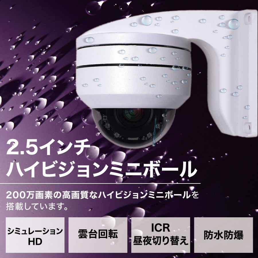 【プロが太鼓判！】TOLEC 防犯カメラ 監視カメラ 屋内外兼用 200万画素 360°広角撮影 4倍ズーム 防水仕様 高齢者 介護 見守りカメラ お留守番 ペットカメラ 業務用 店舗用 動体検知 遠隔監視 いたずら防止 嫌がらせ防止 盗難防止 強盗防止 倉庫